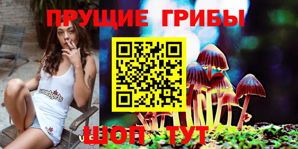 Галлюциногенные грибы мицелий  Вход с VPN  Пятигорск  Псилоцибиновые грибы MAGIC MUSHROOMS 